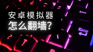 安卓模拟器怎么翻墙？ [upl. by Retswerb]