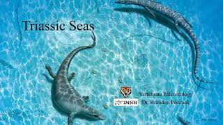 Lecture 15 Triassic seas Feb 27 [upl. by Esom155]