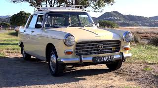 Peugeot 404  Walk Around Start Up and Drive [upl. by Ttenneb]