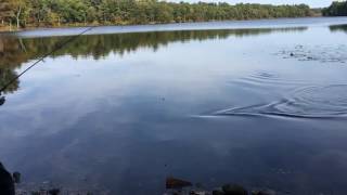 Baldpate Pond Boxford MA [upl. by Adnylem]