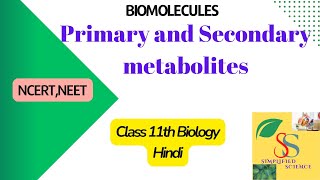 Primary and Secondary metabolite [upl. by Atiuqa]