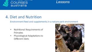 Primatology Online Courses [upl. by Cartie]