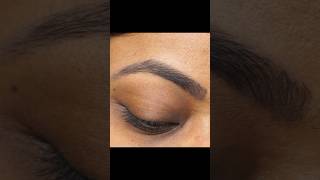 Eyebrow Tutorial  eyemakeup lipstick makeup trending shorts reels shortvideo eyebrows [upl. by Ledba]