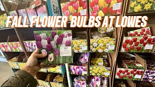 Lowes NEW 2024 Fall Planted Bulb Inventory🌷🪻 [upl. by Hairaza]