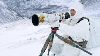 4 DAY SOLO WINTER CAMPING AND WILDLIFE PHOTOGRAPHY  off grid adventure behind the scenes in Norway [upl. by Ratha]