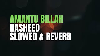 Amantu Billahi Nasheed  SLOWED amp REVERBED  4K RESOLUTION [upl. by Xonel]