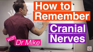 How To Remember Cranial Nerves [upl. by Enilada]