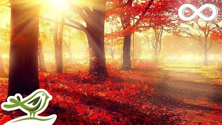 Beautiful Romantic Music Relaxing Music Piano Music Violin Music Guitar Music Sleep Music ★101 [upl. by Nikaniki]