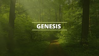 Genesis 44 Part 2 [upl. by Nitz358]