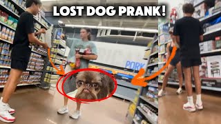 Lost dog prank [upl. by Esinehs]