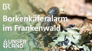 Borkenkäferalarm im Frankenwald  Unser Land  BR Fernsehen [upl. by Center]