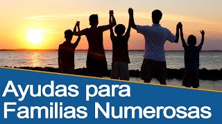 Ayudas para Familias Numerosas  Beneficios Subvenciones y Descuentos [upl. by Tronna]