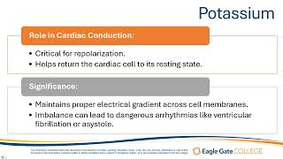 Electrolytes Involved in Cardiac Conduction [upl. by Olemrac]