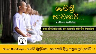 Maithree meditation  මෛ‌ත්‍රී භාවනාව  kiribathgoda gnanananda thero [upl. by Gnex]