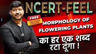 Chapter5 Morphology of Flowering Plants  360360 NCERT Feel Series neet2024 NEETkakaJEE [upl. by Odlaumor]