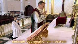 FSSP Video on Traditional Latin Mass Part 13 [upl. by Oneida616]