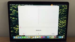 MacBook Pro TB 2019 i7 16GB 512SSD 13 Pulgadas 474514 [upl. by Alhan]