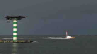 Roofvogels in Nederland  slechtvalken op de Maasvlakte II [upl. by Niamor22]