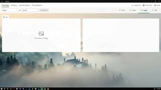 Microsoft Translate Windows 10 App Overview [upl. by Roselani333]