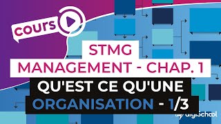 Chapitre 1  Quest ce quune organisation 13  Management Bac STMG  digiSchool [upl. by Iahs879]