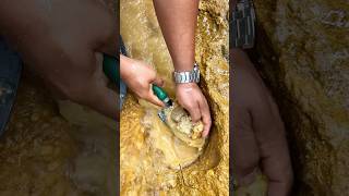 Crazy Hole😱😱‼️we got 10000 from this hole amazing gold discovery golddiscovery goldrush [upl. by Avery]