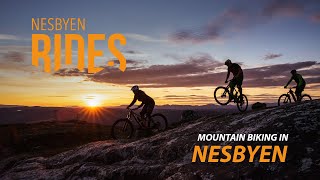 MTB Mountain biking in Nesbyen Norway [upl. by Anneg235]