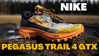 Nike Pegasus Trail 4 GoreTex Test  La meilleure chaussure de trail [upl. by Eohce]