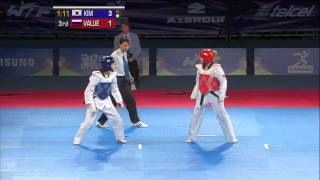 2013 WTF World Taekwondo Championships Final  Female 46kg [upl. by Onitsuj]