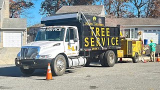 LampL Tree Service at work November 6th 2024 20 min video pt1 [upl. by Merth159]