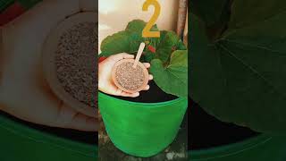 Three best organic fertilizer for plants  ये तीन खाद हम पौधों में बहुत ज्यादा इस्तेमाल करते हैं। [upl. by Bianchi887]