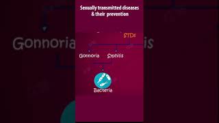 Sexual reproduction in human beings  Sexually transmitted diseases  human reproduction [upl. by Arbuckle]