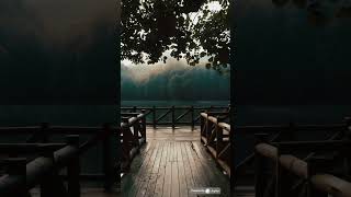 Exploring the Mystical Forests of Jog Forest Around Jog Falls India mysteriousfacts f shortvideo [upl. by Phippen]