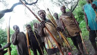 HADZABE HUNTERS HUNTING EVEN IN THE RAIN BUSHMEN HADZABE TRIBE LIVING IN THE BUSH [upl. by Sherlocke]