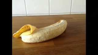 Der BANANEN SONG  StopMotion Animation  Echtso [upl. by Holms]