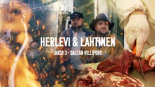 HERLEVI amp LAHTINEN  JAKSO 3  Sallan Villiporo [upl. by Willette]