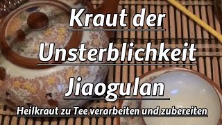 Kraut der Unsterblichkeit  Jiaogulan  Heilkraut zu Tee verarbeiten und zubereiten [upl. by Byler965]