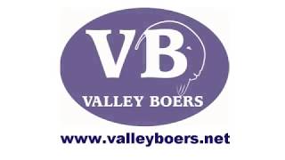 Valley Boers  Boer Goats Australia [upl. by Alidus]