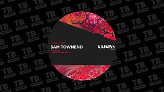 TB Premiere Sam Townend  Give It Up ORIGINS RCRDS [upl. by Nakeber]