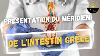 Présentation du méridien de lintestin grêle et des points qui le composent [upl. by Arytal947]