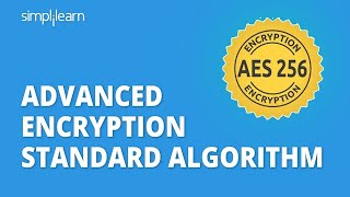 AES  Advanced Encryption Standard Algorithm In Cryptography  AES Explained  Simplilearn [upl. by Dnomyar416]