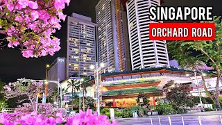 Singapore Nightlife  Orchard Road Singapore  Clarke Quay Singapore [upl. by Ellak]