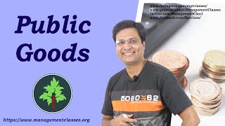 Public Goods in Hindi [upl. by Nossaj618]