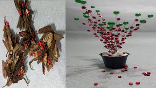 How to make tree using abrus precatorius seeds  DIY simple make tree from crabs eye seeds [upl. by Efthim]