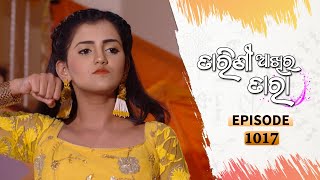 Tarini Akhira Tara  Full Ep 1017  6th May 2021  Odia Serial – TarangTV [upl. by Shina990]