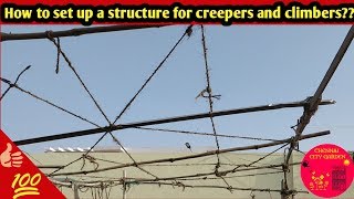 How to set up a structure for creepers and climbers [upl. by Elenahc566]