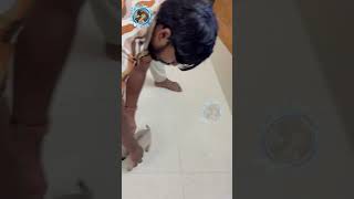 நான் எப்படி இந்த வீட்டுக்குள்ள வந்தேன்னு பாருங்க annie doglover dogs pugdog [upl. by Ehcram]