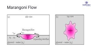 Marangoni Flow [upl. by Enivid643]