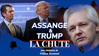 Assange amp Trump  la connection WikiLeaks  La Chute [upl. by Fujio]