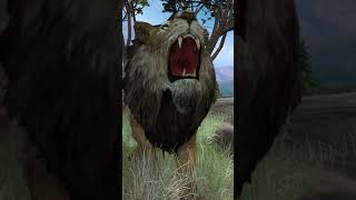 Lions Roaring Lion Roar sound effect  lion sounds  lion [upl. by Bonita282]