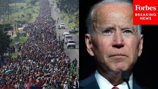 BREAKING NEWS Senate Republicans Demand Immediate Changes To Biden Border Policies [upl. by Aokek]